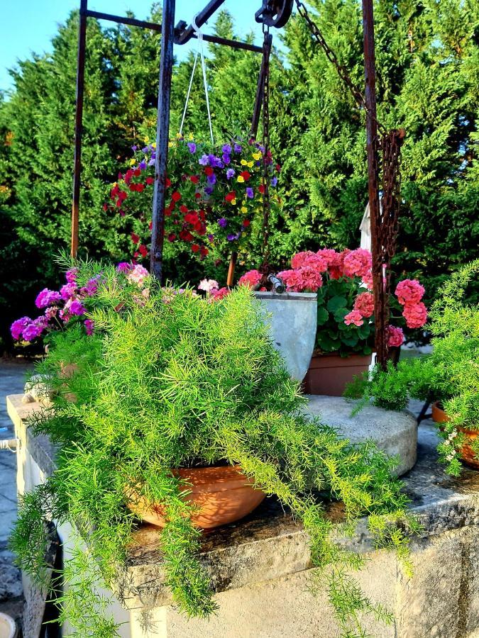 B&B La Nicchiarica Muro Leccese Exterior photo