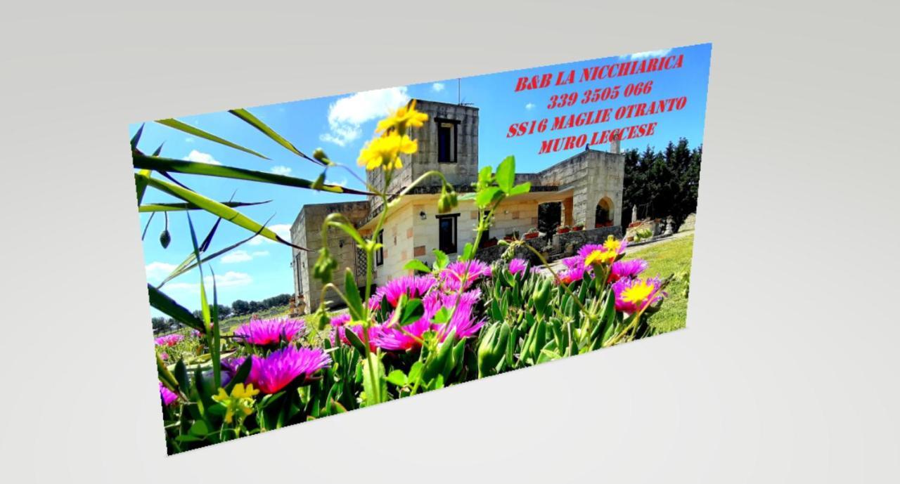 B&B La Nicchiarica Muro Leccese Exterior photo